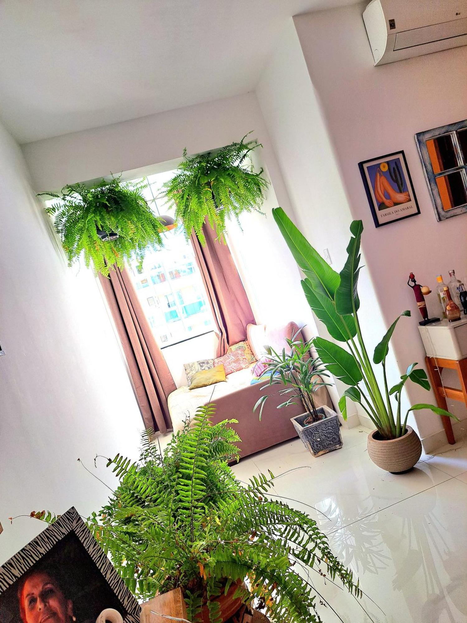 Quarto Com Anfitriao Rj リオデジャネイロ エクステリア 写真
